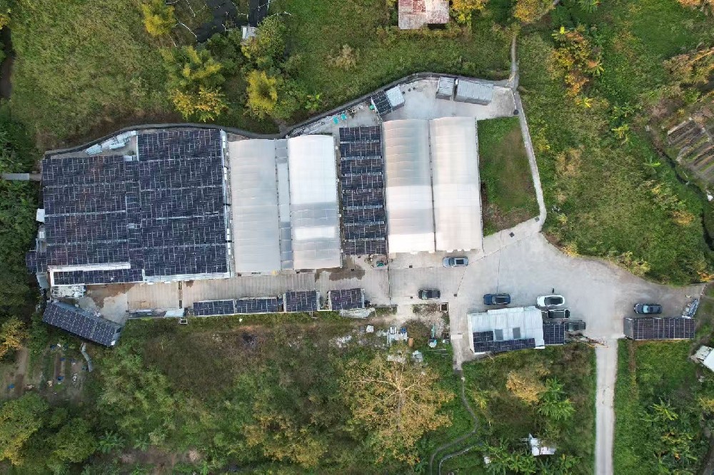 粉嶺打鼓嶺坪輋路左